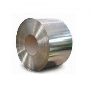 ASTM F30 Certified Nilo 42 Alloy 42